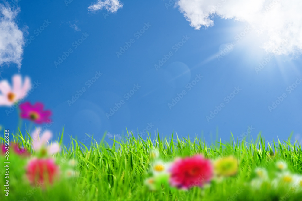 Kwiaty w trawie na tle błękitnego nieba z chmurami i słońcem - obrazy, fototapety, plakaty 