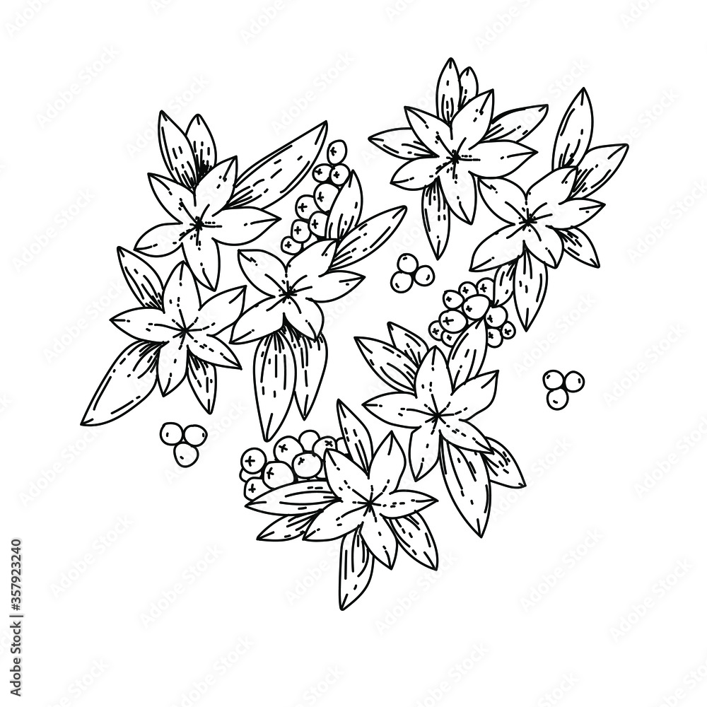 Set of floral elements.flower in black on the white background.Black and white vector illustration. Set of floral elements.flower in black on the white background.Black and white vector illustration.