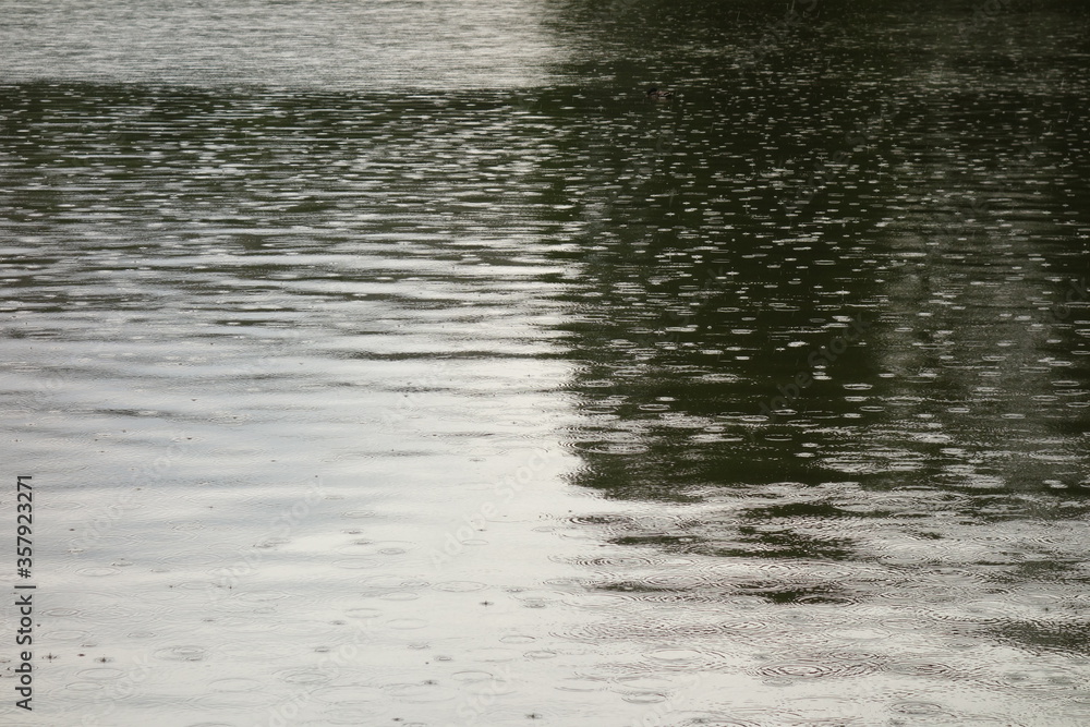 Rain drops making concentric circles on lake water surface Rain drops making concentric circles on lake water surface