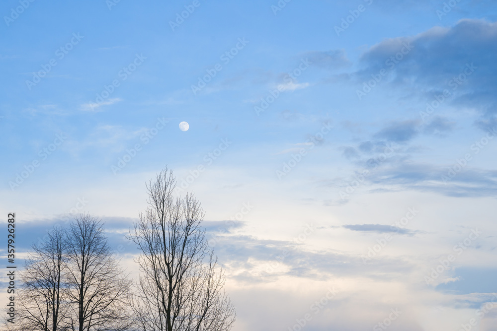 Moon in a blue sky with white clouds in the evening, above the branches of trees. Spring landscape, evening sky. Moon in a blue sky with white clouds in the evening, above the branches of trees. Spring landscape, evening sky.