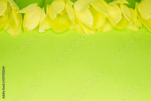 From above shot of fresh yellow tulips lying in bunch on green background. Space for text border. Selective focus.