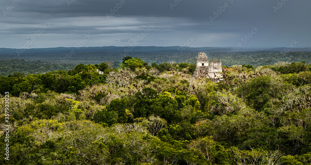 Dense jungle surrounding Tikal archaeological site with the storm cloud on the horizon. Peten, Guatemala.