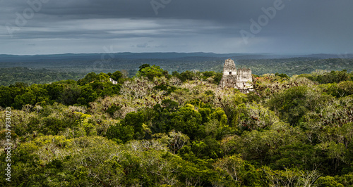 Dense jungle surrounding Tikal archaeological site with the storm cloud on the horizon. Peten, Guatemala.