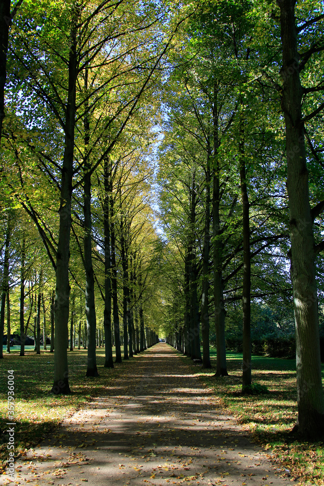 Park, Avenue, Franzoesischer Garten, Celle, Lower Saxony, Germany, Europe