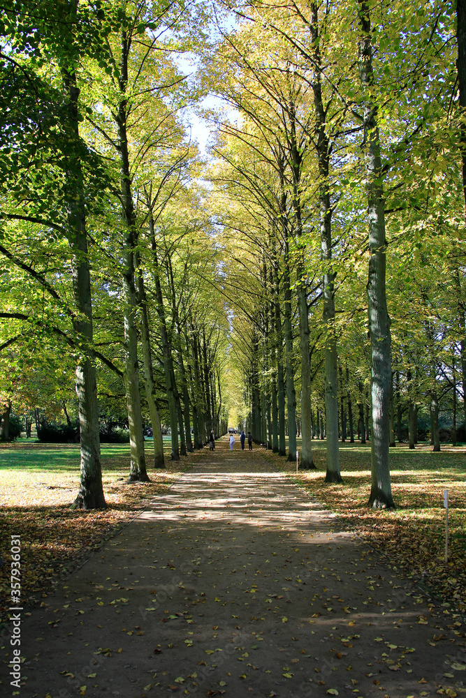 Park, Avenue, Franzoesischer Garten, Celle, Lower Saxony, Germany, Europe