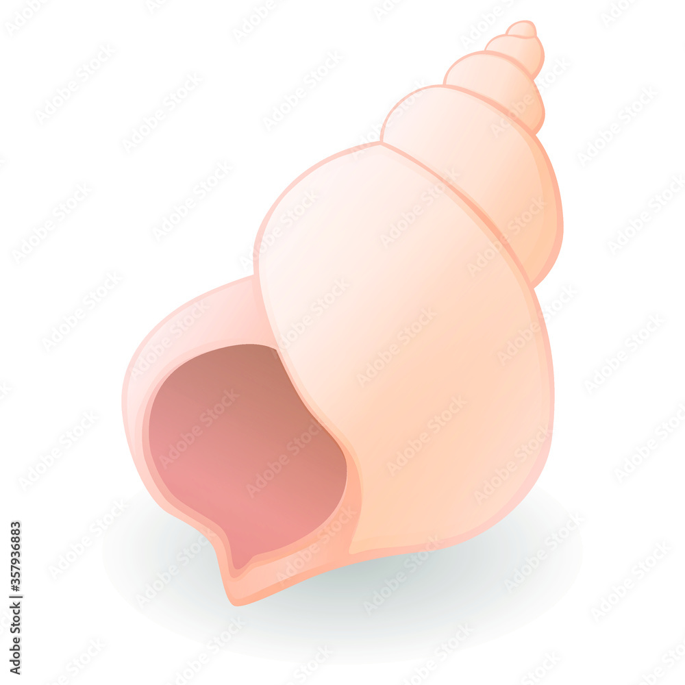 Spiral Shell Sea. Summer Vacations. Illustration Face Vector Design Art. Spiral Shell Sea. Summer Vacations. Illustration Face Vector Design Art.