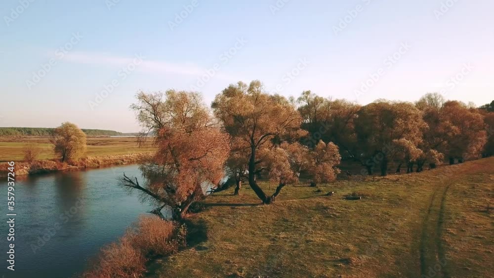 aerial view of autumn trees by the river, aerial view of autumn trees in morning, river in the morning mist, Sunny and foggy morning over the river