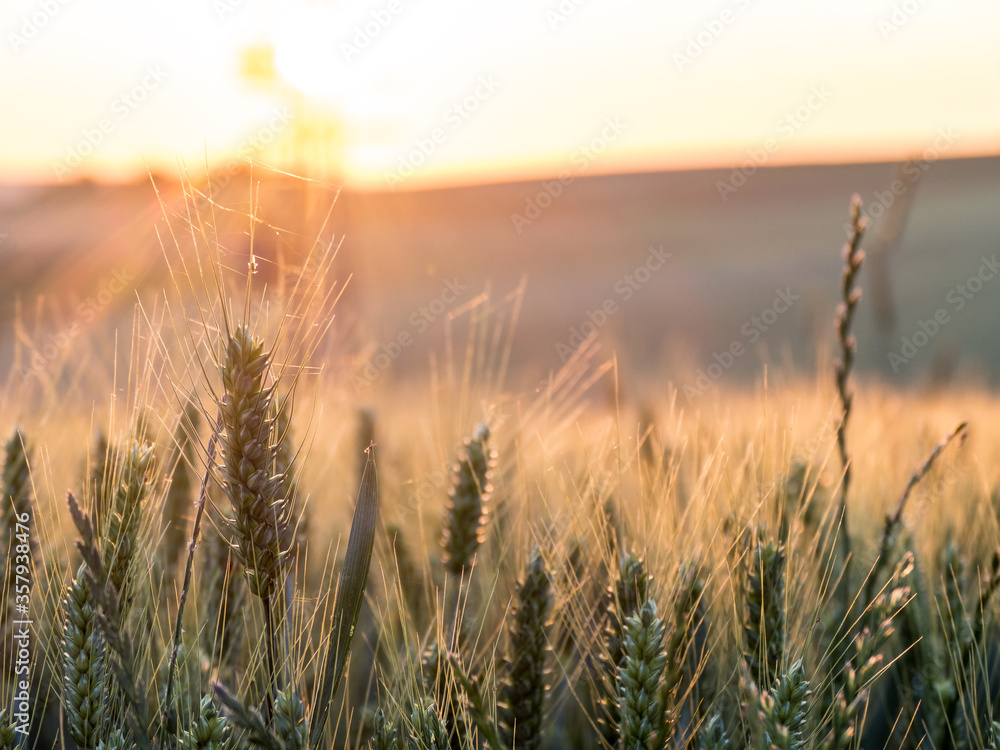 Sonnenuntergang hinter Agrarlandschaft Sonnenuntergang hinter Agrarlandschaft