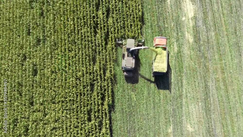 Aerial shot of harvester loading off corn on trailers. Aerial shot of modern harvester loading off corn on tractor trailers. Concept of: Tractor, Harvest, Drone b-roll footage, Eco. Aerial shot of harvester loading off corn on trailers. Aerial shot of modern harvester loading off corn on tractor trailers. Concept of: Tractor, Harvest, Drone b-roll footage, Eco.