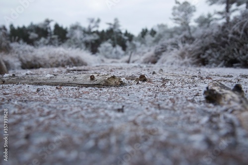 Frozen river