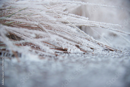 Frost