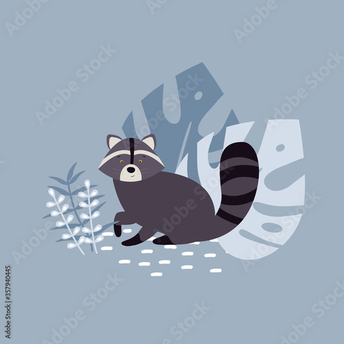 Cute raccoon with striped tail in flat style sitting isolated on blue background with leaves. Vector animal wildlife character. photo