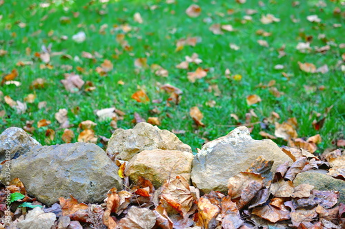 Rock wall with autumn leaves on grass