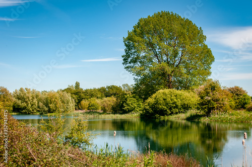 autumn landscape with lake