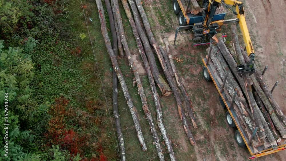 Forklift Truck Operator Moving Tree Logs in Sawmill Factory Aerial Drone View Forklift Truck Operator Moving Tree Logs in Sawmill Factory Aerial Drone View
