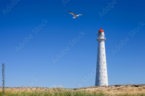 Seagull at the Tahkuna lighthouse in  sunny day on Hiiumaa island, Estonia photo