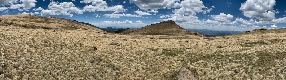 High altitude alpine meadows with grass and wildflowers High altitude alpine meadows with grass and wildflowers