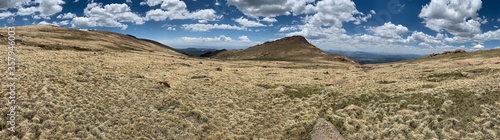 High altitude alpine meadows with grass and wildflowers