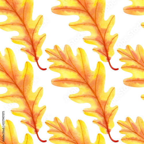 Seamless pattern with watercolor autumn oak leaves. Perfect for greetings  invitations  manufacture wrapping paper  textile  wedding and web design.