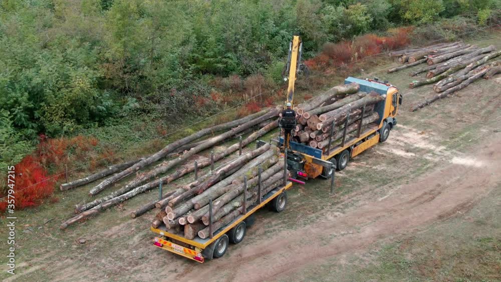 Forklift Truck Operator Moving Tree Logs in Sawmill Factory Aerial Drone View Forklift Truck Operator Moving Tree Logs in Sawmill Factory Aerial Drone View