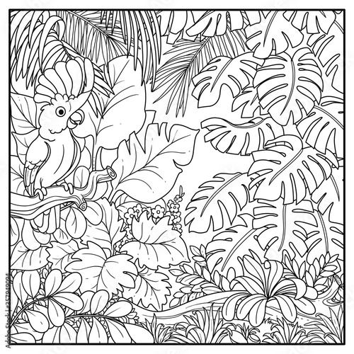 Wild jungle with cockatoo alba parrot perched on branch black contour line drawing for coloring on a white background