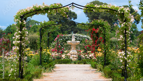 Madrid  Spain  June 01  2020   arch of roses flowers and fontain  in retiro park