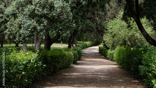 lonely wooded path in an urban park.retiro park madrid
