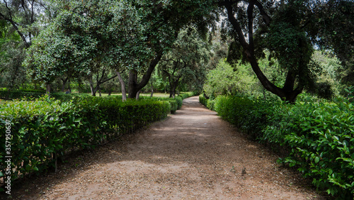 lonely wooded path in an urban park.retiro park madrid