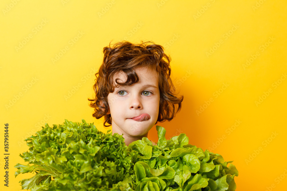 Portrait of little boy standing isolated on yellow background and enjoying delicious lettuce while looking at camera. Concept of healthy eating Portrait of little boy standing isolated on yellow background and enjoying delicious lettuce while looking at camera. Concept of healthy eating