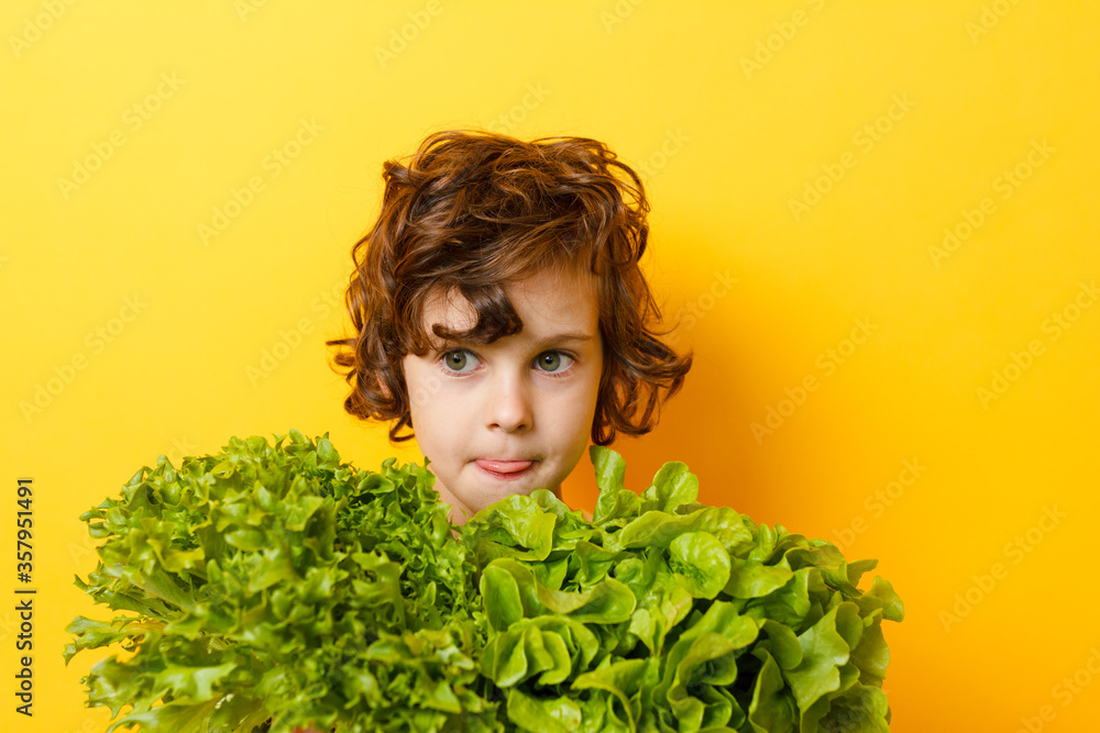 Portrait of little boy standing isolated on yellow background and enjoying delicious lettuce while looking at camera. Concept of healthy eating Portrait of little boy standing isolated on yellow background and enjoying delicious lettuce while looking at camera. Concept of healthy eating