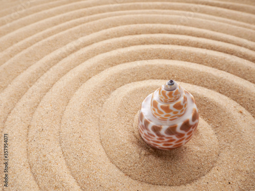 Shell in circles on the sand. Zen concept. Spiral in the sand