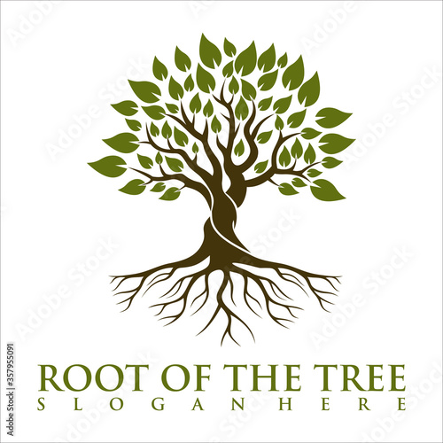 Root Of The Tree logo illustration. Vector silhouette of a tree.