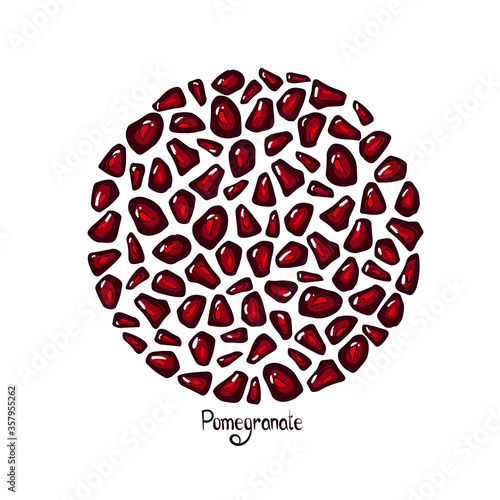 Hand drawn sketch style circle pomegranates seeds set. 