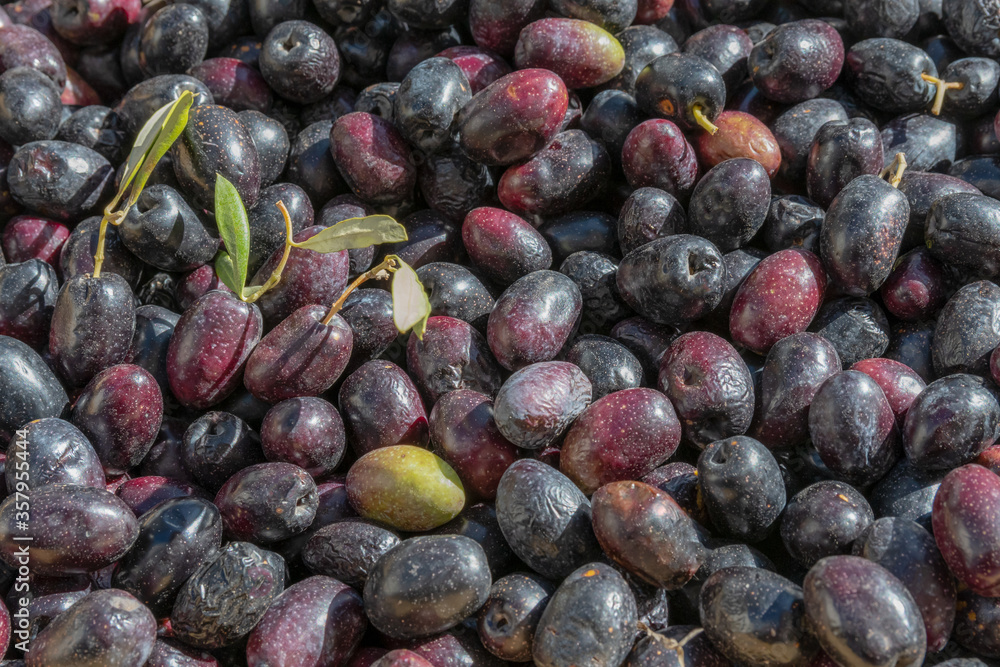 Fototapeta premium Canned black olives as background