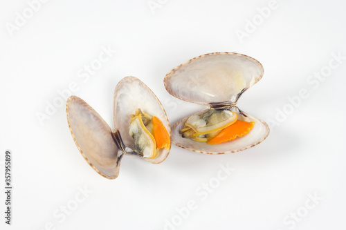 Closed up welded baby clams, venus shell, shellfish on white background