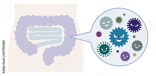 悪玉菌がたくさんいる腸