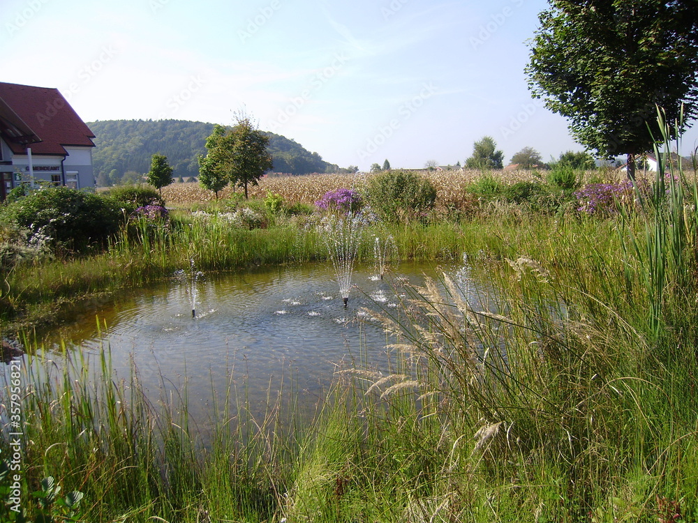 Fototapeta premium Types of garden ponds. With/without fountain. Garden element. Garden design concept 