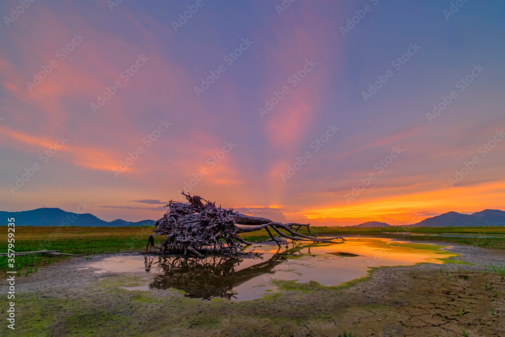 Dead Trees in the forest around a lake with Sunset at chonburi , Thailand. dead tree sticking out of the water from Lake. Cloud movement with dead trees on the dam at sunrise