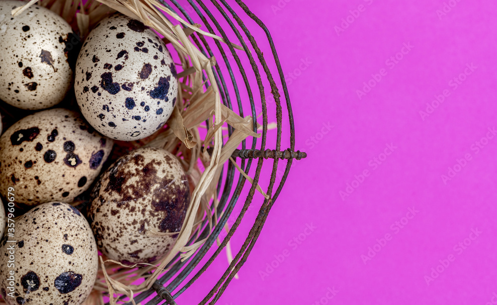 Quail eggs in a wire bird nest, close-up. Copy space for text.