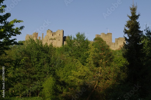 Whitcliffe Common Nature Reserve in Ludlow, UK photo