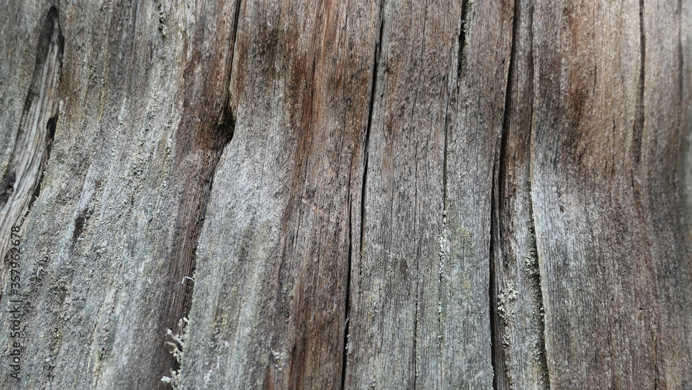 old wood texture background or wallpaper old wood texture background or wallpaper