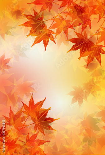 紅葉　もみじ　秋　背景