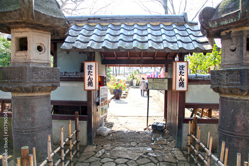 The Ueno Toshugu Shrine is located in Ueno Park in Tokyo, Japan and is brightly gold in colour. photo