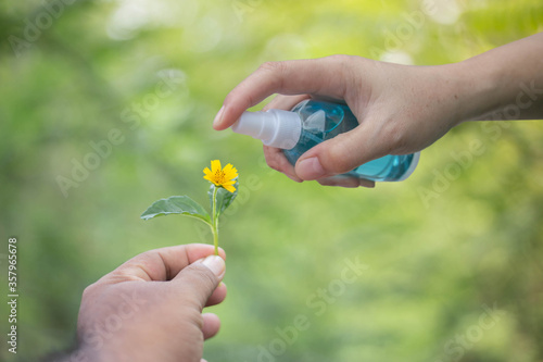 Hand of Asian woman applying the alcohol spray with greenery background. Closed up alcohol spray. .