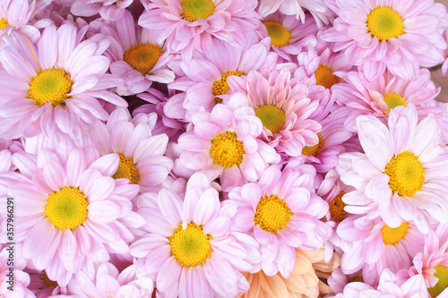 Wedding bouquet with fresh pink flowers for background. soft light