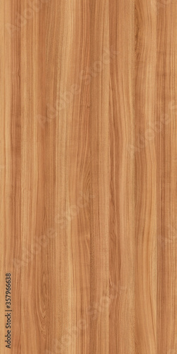 Background image featuring a beautiful  natural wood texture