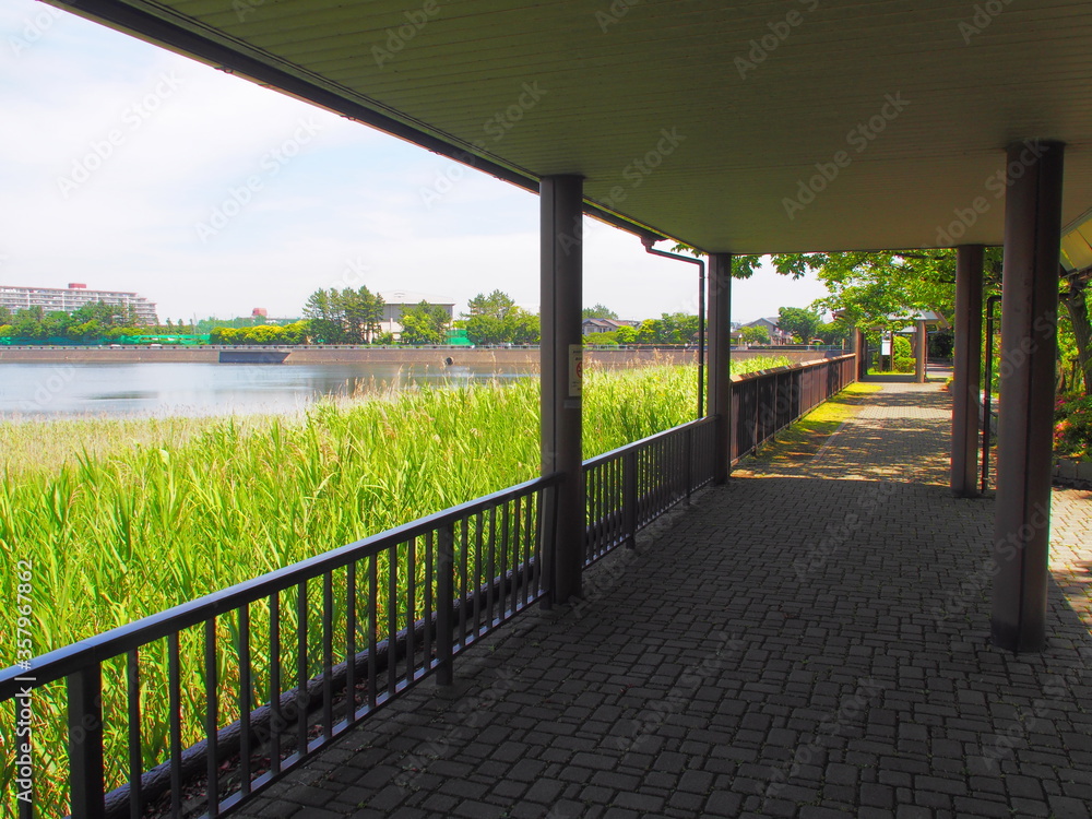 The summer scene of Yatsu Higata Narashino City, Chiba Japan The summer scene of Yatsu Higata Narashino City, Chiba Japan
