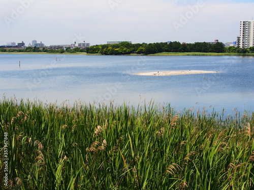 The summer scene of Yatsu Higata Narashino City, Chiba Japan  photo