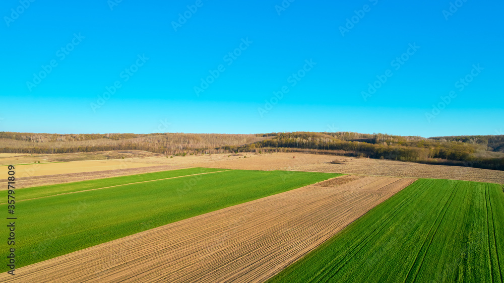 Obraz premium the green field is at sunset shot with the drone