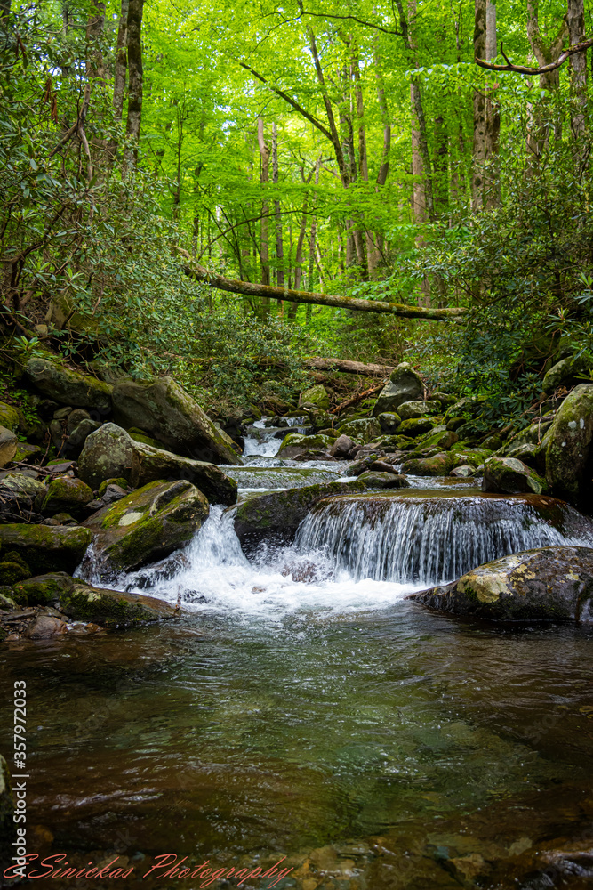 waterfall in the forest